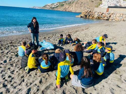 Foto Colegio Diocesano San Juan de Ávila #2