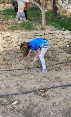 Foto Colegio ISABEL LA CATÓLICA #1