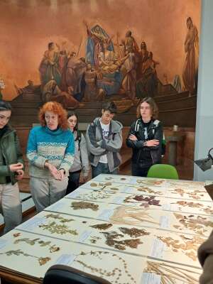 Foto Instituto Educación Secundaria Albayzín #2