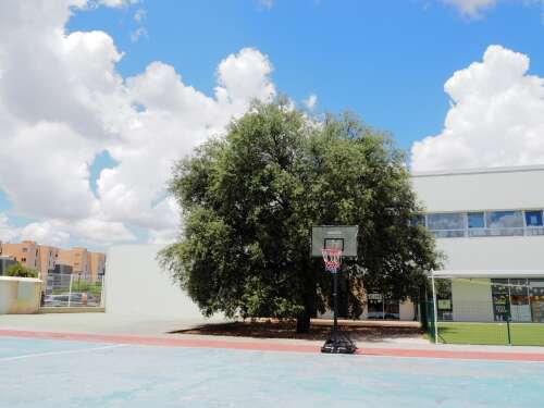 Foto Colegio María Nebrera #2