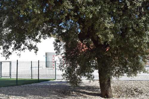 Foto Colegio María Nebrera #2