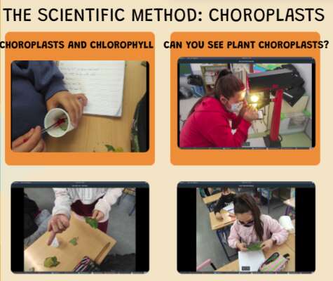 Foto Colegio Parque Nueva Granada #1