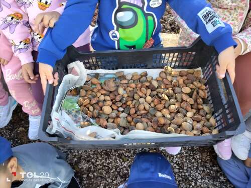 Foto Escuela Infantil Jesús-María #3