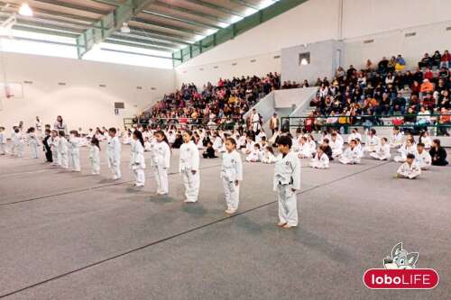Foto Colegio Inglés de Durango Campus  #3