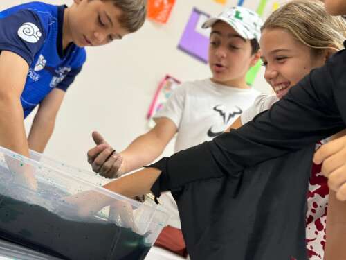 Foto Colegio Laurea World School #3