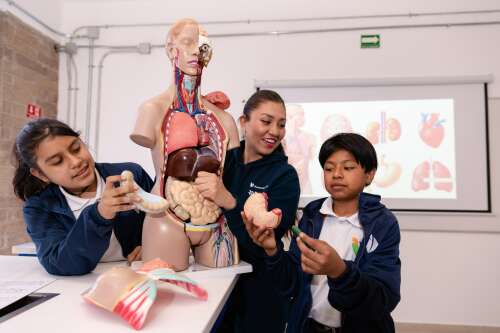 Foto Col·legi Innova Schools Campus Chalco #2