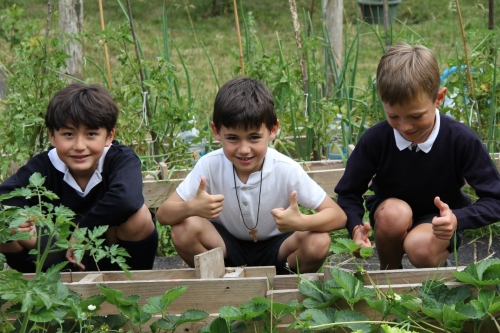 Foto Colegio Erain #3