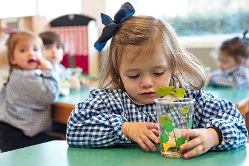 Foto Colegio Eskibel #3