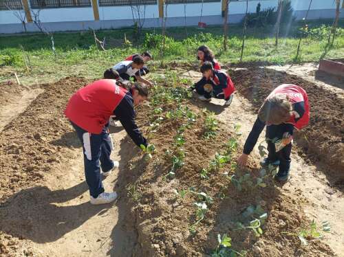 Foto Colegio Salesiano Cristo Sacerdote #2