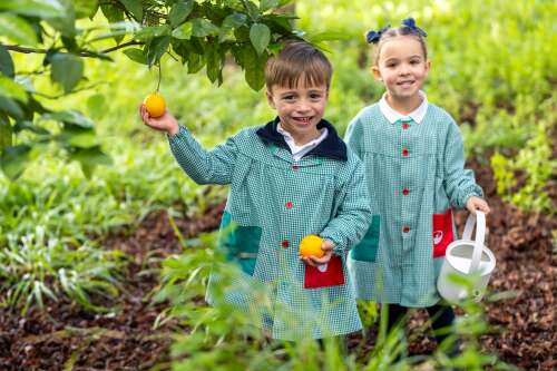 Foto Colegio Diocesano Sagrado Corazón de Jesús #0