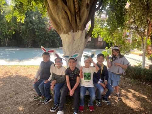 Foto Colegio Comunidad Montessori Cholloyan #2