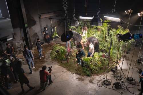 Foto Escuela CINEMA | Escuela de Cinematografía y Medios Audiovisuales #2