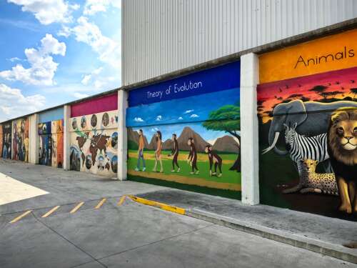 Foto Colegio  Nuevo Continente #2