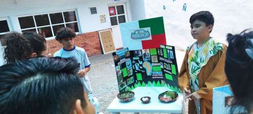 Foto Colegio Antonio Mediz Bolio #3