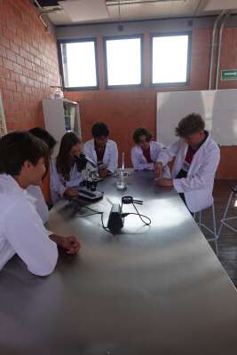 Foto Colegio IT INNOVATION SCHOOL  #3