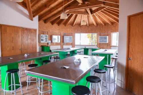 Foto Colegio Wexford Campus Maravillas #2