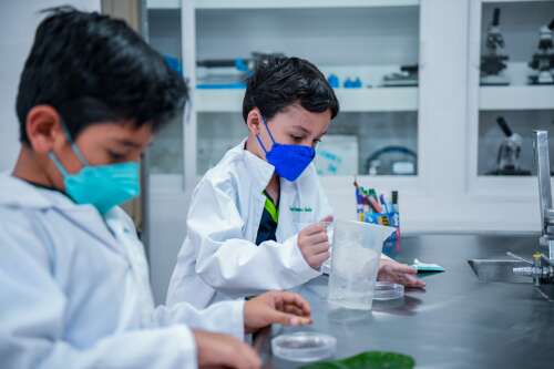 Foto Colegio Wexford Campus Maravillas #2