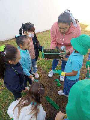 Foto Preescolar Lemon Tree #2