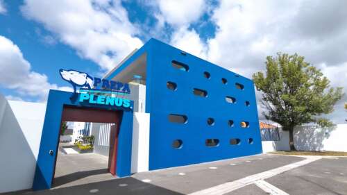 Foto Colegio Plenus #2