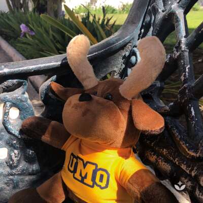 Foto Preparatoria Marista #2