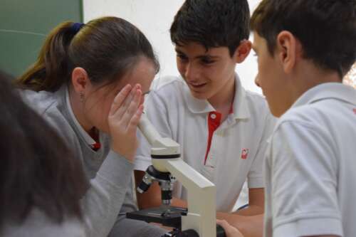 Foto Colegio Marcelo Spínola Jaén #3