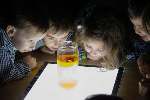 Foto Colegio Sagrado Corazón Carmelitas #3