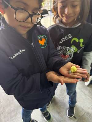 Foto Colegio Yollcalli Centro Educativo #3