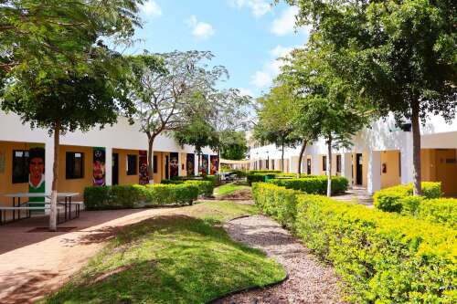 Foto Colegio Alerce #1