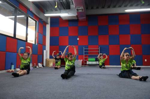 Foto Colegio Alerce #3