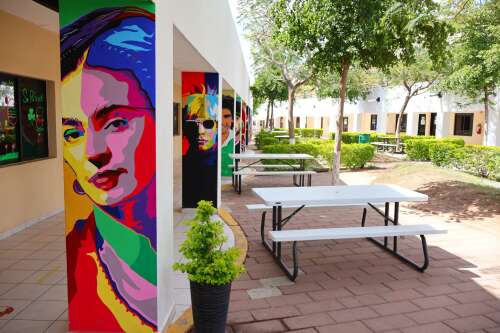 Foto Colegio Alerce #3