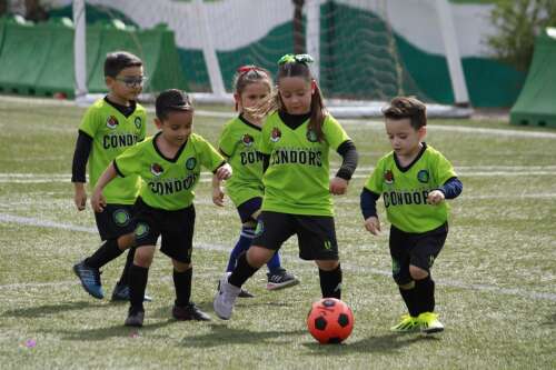 Foto Colegio Alerce #3