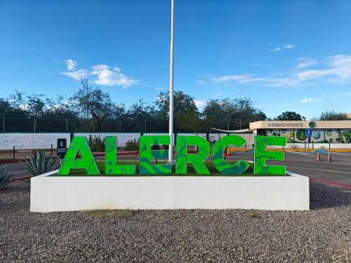 Foto Colegio Alerce #0