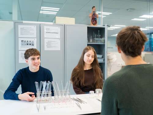 Foto Colegio Liceo Europeo #2