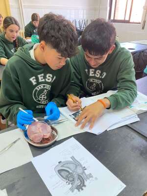 Foto Colegio San José FESD #2