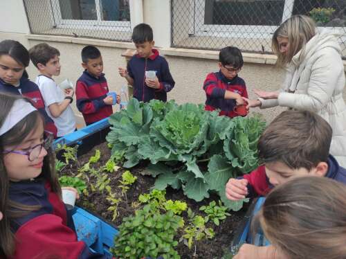 Foto Colegio Juan Pablo II La Inmaculada Guadarrama #2