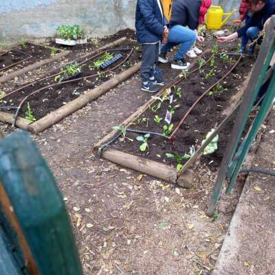Foto Colegio Bolivia #2