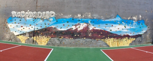 Foto Colegio Hernan Cortes #3