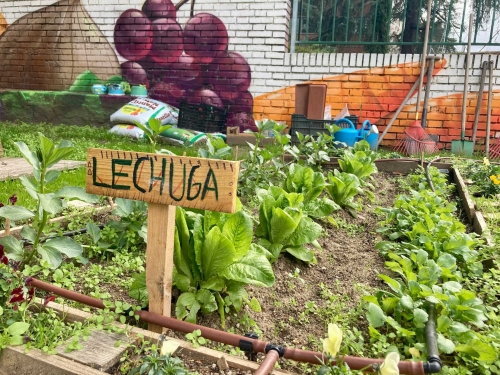 Foto Colegio Hernan Cortes #3