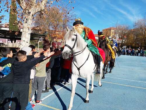 Foto Colegio Pinar Del Rey #3
