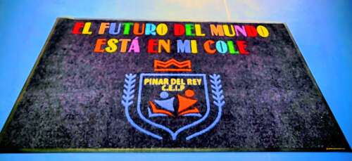 Foto Colegio Pinar Del Rey #3