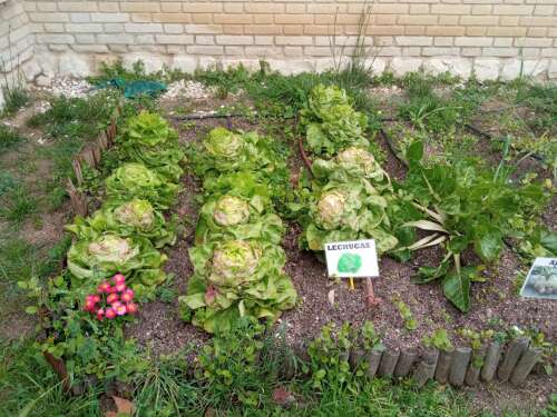 Foto Colegio Pinar Del Rey #3