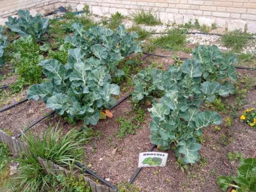 Foto Colegio Pinar Del Rey #3