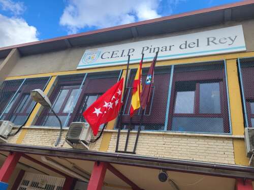 Foto Colegio Pinar Del Rey #3