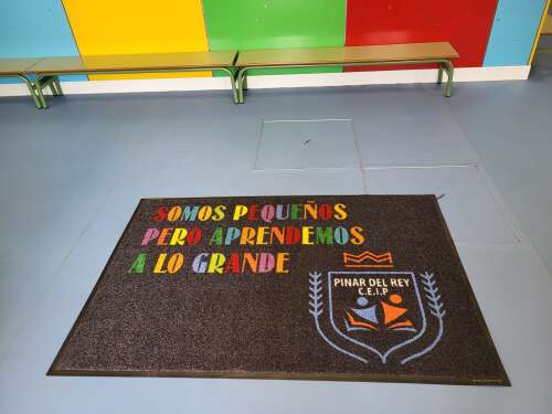 Foto Colegio Pinar Del Rey #3