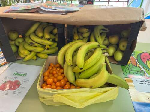 Foto Colegio Pinar Del Rey #3