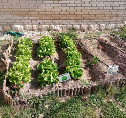 Foto Colegio Pinar Del Rey #3