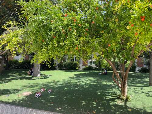 Foto Colegio Alameda International School #3