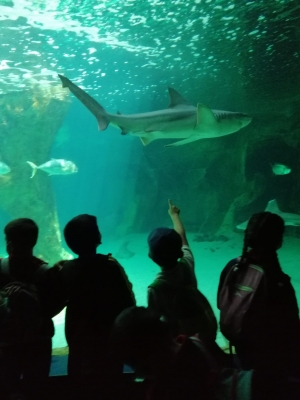 Foto Colegio Jesuitinas María Reina #2