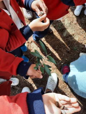 Foto Colegio Jesuitinas María Reina #2