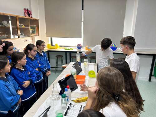 Foto Colegio San Javier #2